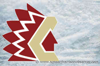 Chilliwack Chiefs stopped by Surrey Eagles in mid-week BCHL matchup – Agassiz Harrison Observer - Agassiz Harrison Observer