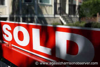 Million dollar sales surge in Chilliwack real estate market – Agassiz Harrison Observer - Agassiz Harrison Observer