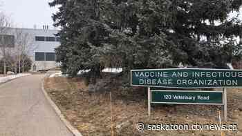 Saskatoon's VIDO lab gets $6M for vaccine research - CTV News Saskatoon