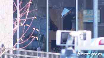 Moose on loose in Saskatoon - CBC Music