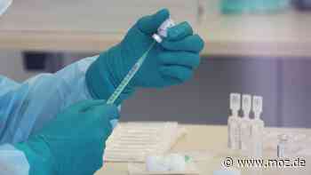 Corona im Havelland: Inzidenz zwischen Rathenow und Falkensee unter 100 - moz.de