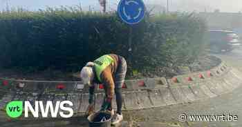 Al 20 jaar lang poetst Jacqueline (76) dagelijks een rotonde in Stekene: "Zo is het veilig en blijf ik in beweging" - VRT NWS