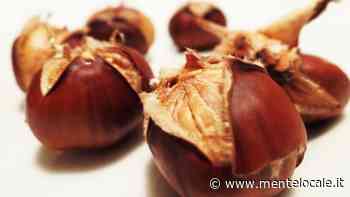 Fiera Nazionale di San Martino a Chieri - mentelocale.it