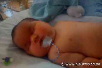 Britse baby weegt 6,7 kilo: Limburgse mama’s over hun mega baby
