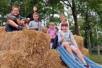Kinderen leven zich uit in De Pretkomeet (Lille) - Gazet van Antwerpen