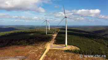 Wind farm generates money and hope for N.B. First Nation