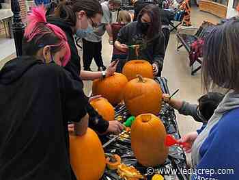 Digging in - Leduc Representative