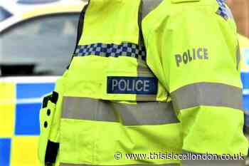Greenwich woman fined £22 for beating a police officer