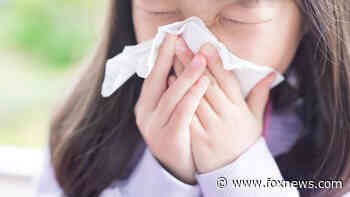 Rhode Island’s first 2021 influenza outbreak confirmed - Fox News