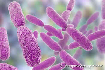 Antibiotic-Resistant Bacteria: What They Are and How Scientists Are Combating Them