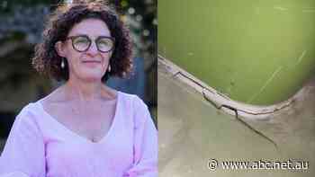 Light rail suspension adds 'one more challenge' to Sydney students as images of cracks emerge