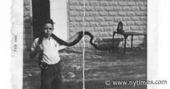 Padgett Powell Goes Snake Chasing