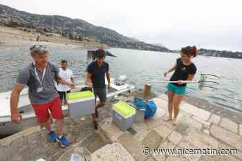 Ces chercheurs étudient comment le plancton, poumon de la planète, séquestre le carbone