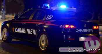 IOWEBBO - SORA - FACCIA A FACCIA CON I LADRI LI METTE IN FUGA - ioWebbo