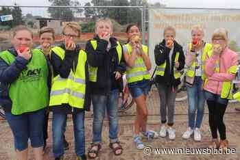 Online infosessie over fruitbomen in je tuin