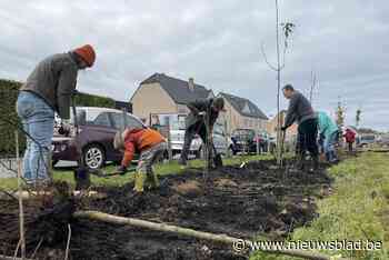 Heistse vzw’s voorzien braakliggende perceeltjes van streekeigen plantgoed