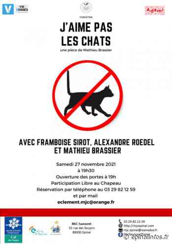 Théâtre à la MJC d'Epinal : "J'aime pas les chats" - Epinal infos - Epinal Infos