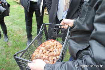 La Fermette aux escargots décroche trois médailles - Epinal infos - Epinal Infos