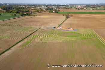Parma, nasce “Il Bosco del Mulino” per dipendenti e cittadini - AmbienteAmbienti