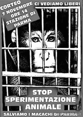 Il 7 novembre corteo "stop vivisection" a Parma - - ParmaDaily.it