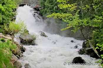 Current of restoration flows through council over Cottonwood Creek - The Nelson Daily