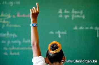 Noodkreet uit Brussel: is leerplicht tot achttien voor ons publiek nog wenselijk? - De Morgen