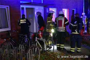 Kokelndes Essen im Backofen löst Feuerwehreinsatz in Stade aus - Blaulicht - Tageblatt-online