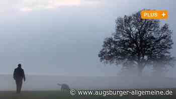 Umfrage im Landkreis Neu-Ulm: Was hilft gegen den November-Blues? - Augsburger Allgemeine