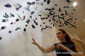 Une expo fait sortir le musée Risso de sa réserve