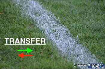 Trainer Hongla hört in Daun auf - FuPa - FuPa - das Fußballportal