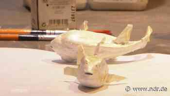 Vorbereitungen für das neue Meeresmuseum Stralsund laufen - NDR.de