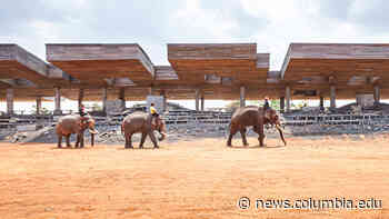 Designing Architecture for People, Animals, and the Natural World - Columbia University