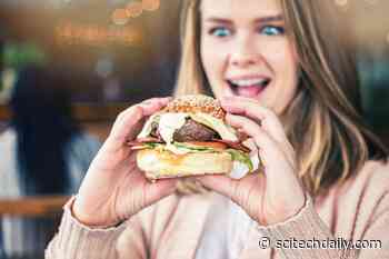 Neuroscientists Are Unraveling the Mystery of Why We Overeat