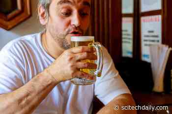 Drinking Alcohol To Stay Healthy? Here’s What the Latest Science Says