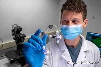 Fractured Artificial Rock Helps Crack a Strange 54-Year-Old Fluid Mystery