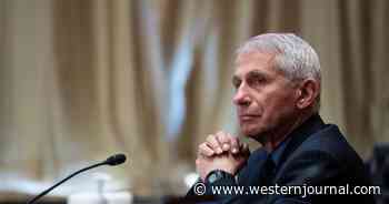 PETA Calls for Fauci's Resignation After Horrifying 'Experiments' Come to Light