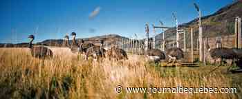 Incroyable, absurde... mais vrai!