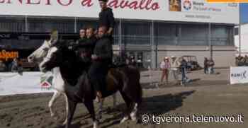 A Fieracavalli i progetti delle carceri di Montorio e Opera - TgVerona