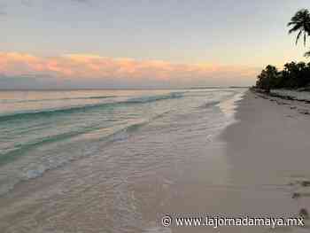 Libres de sargazo, playas de Tulum están listas para recibir a los turistas - La Jornada Maya