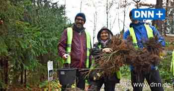 Pflanzpartys an der Badestelle in Dresden-Weixdorf - Dresdner Neueste Nachrichten