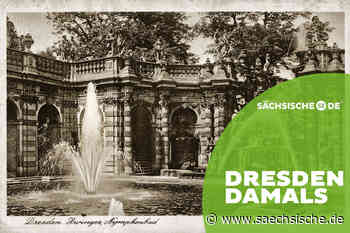 Dresden: Der Retter des Dresdner Zwingers - Sächsische.de