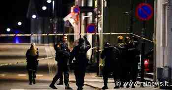 Norvegia, uccide cinque persone con arco e frecce. Arrestato un uomo - Rai News
