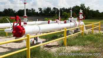 Another whammy for agriculture: Natural gas price hike expected this winter - Lethbridge News Now