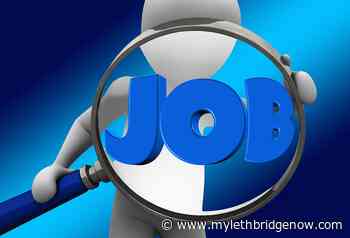 Lethbridge-Medicine Hat jobless rate falls to 5.3% in October; lowest in Alberta - My Lethbridge Now