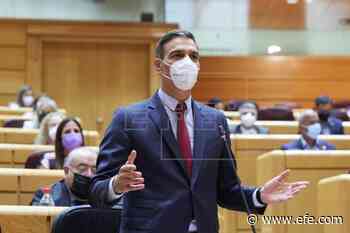 Pedro Sánchez contesta hoy en el Senado a preguntas sobre la luz y los presupuestos - Agencia EFE