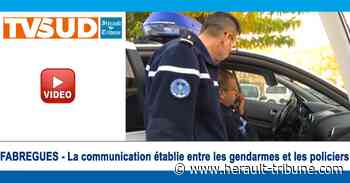 FABREGUES - La communication établie entre les gendarmes et les policiers - Hérault-Tribune