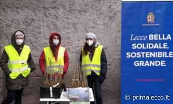 Il "bosco diffuso di Lecco", richieste entro il 14 novembre - Prima Lecco