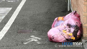 Tre mesi di sacco rosso: a Lecco la differenziata sfonda il 70%. E si fa meno indifferenziata - LeccoToday