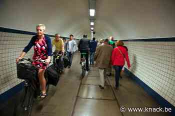 Groen wil vlottere veerdienst over de Schelde in Antwerpen - Knack.be