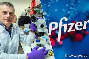 Experts lovend over coronapil van Pfizer: “Zonder overdrijve... - Gazet van Antwerpen